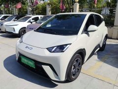 BYD Seagull Glory Edition 305km Freedom Version - ფოტო 1