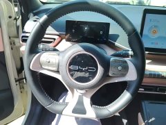 BYD Seagull Glory Edition 305km Freedom Version - ფოტო 10