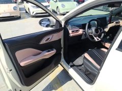 BYD Seagull Glory Edition 305km Freedom Version - ფოტო 15