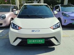 BYD Seagull Glory Edition 305km Freedom Version - ფოტო 2