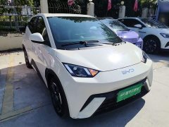 BYD Seagull Glory Edition 305km Freedom Version - ფოტო 3