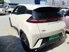 BYD Seagull Glory Edition 305km Freedom Version - ფოტო 4