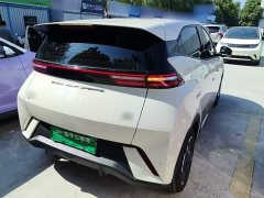 BYD Seagull Glory Edition 305km Freedom Version - ფოტო 6