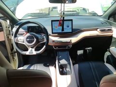 BYD Seagull Glory Edition 305km Freedom Version - ფოტო 9