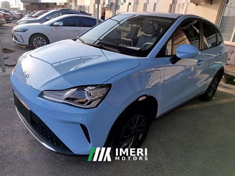 2024 Neta AYA 2023 318 Lite - ავტომობილი ჩინეთიდან