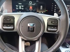Tank 300 Off-Road Edition 2.0T Conqueror - ფოტო 10