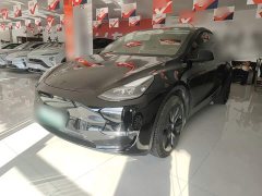 Tesla Model Y Long Range All-Wheel Drive - ფოტო 1