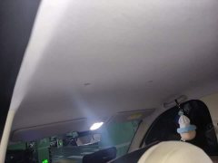 Wuling Hongguang MINIEV Fourth Generation Four-Door Premium Edition - ფოტო 14