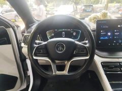 BYD Song Plus New Energy 2021 DM-i 110KM Flagship Plus - ფოტო 12
