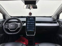 Neta V Long-Range Industry Custom Edition - ფოტო 19