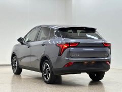 Neta V Long-Range Industry Custom Edition - ფოტო 4