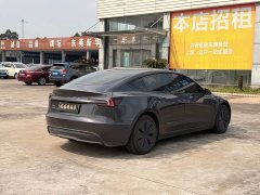 Tesla Model 3 2023 Long Range All-Wheel Drive - ფოტო 11