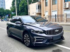 Geely Xingrui Oriental Radiance 2.0T Diesel Moonlight Edition - ფოტო 3