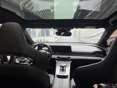 Trumpchi Leopard 400T Automatic R PRO - ფოტო 11