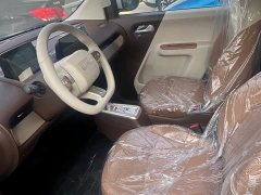 Changan Lumin Treasure Edition 205km Cool Love White CATL - ფოტო 8