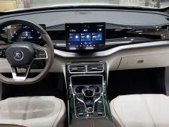 BYD Qin PLUS Champion Edition DM-i 55KM Exceed - ფოტო 5