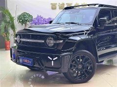 GWM 300 2.0T Cyber Knight - ფოტო 2