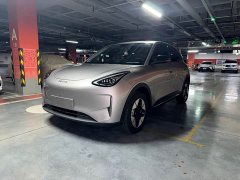 Geely Xing Yuan 2025 310km Dream Edition - ფოტო 1