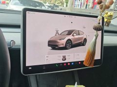 Tesla Model Y 2024 Rear-Wheel Drive - ფოტო 13