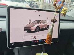 Tesla Model Y 2024 Rear-Wheel Drive - ფოტო 14