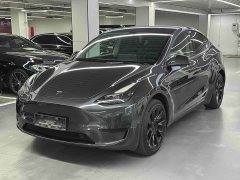 Tesla Model Y Rear-Wheel Drive - ფოტო 1