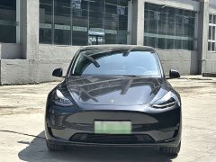 Tesla Model Y Rear-Wheel Drive - ფოტო 2