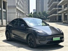Tesla Model Y Rear-Wheel Drive - ფოტო 3