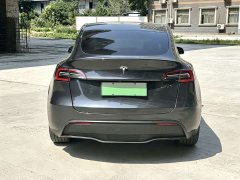 Tesla Model Y Rear-Wheel Drive - ფოტო 8
