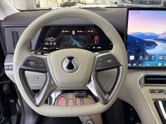 Denza BYD Denza N9 Flagship - ფოტო 11