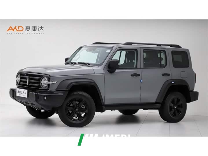 Tank 300 Off-Road Edition 2.0T Conqueror - ავტომობილი ჩინეთიდან