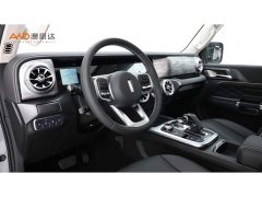 Tank 300 Off-Road Edition 2.0T Conqueror - ფოტო 6