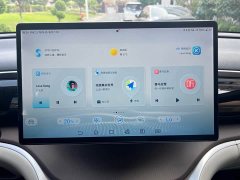 BYD Song Pro New Energy Champion Edition DM-i 110KM Excellence - ფოტო 14
