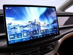 Denza BYD Denza D9 2024 DM-i 980 AWD Luxury - ფოტო 8