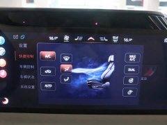 Lincoln Adventurer 2.0T AWD Prestige - ფოტო 9