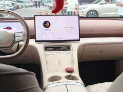 Chery Fengyun A9L 260 Boya Luxury Edition - ფოტო 6
