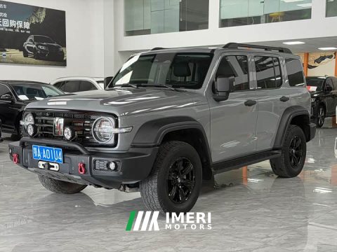 2021 Tank 300 Off-Road Edition 2.0T Conqueror - ავტომობილი ჩინეთიდან