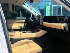 Leapmotor Leapo C11 Pure Electric 580 Premium Edition - ფოტო 6
