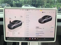 Tesla Model Y Rear-Wheel Drive - ფოტო 6