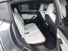 Tesla Model Y Rear-Wheel Drive - ფოტო 8