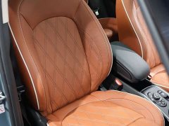 BMW MINI Countryman 2023 2.0T Cooper S ALL4 Connoisseur Edition - ფოტო 12