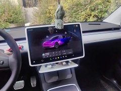 Tesla Model Y Rear-Wheel Drive - ფოტო 13