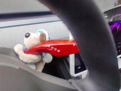 Tesla Model Y Rear-Wheel Drive - ფოტო 16