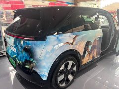 Zeekr MIX Smart Driving Edition - ფოტო 9