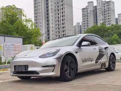 Tesla Model 3 Standard Range RWD Upgrade - ფოტო 1