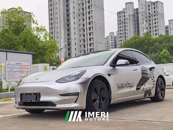 Tesla Model 3 Standard Range RWD Upgrade