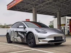 Tesla Model 3 Standard Range RWD Upgrade - ფოტო 3