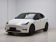 Tesla Model Y Performance All-Wheel Drive - ფოტო 1