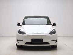 Tesla Model Y Performance All-Wheel Drive - ფოტო 2