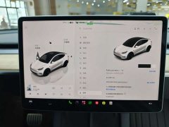 Tesla Model Y Performance All-Wheel Drive - ფოტო 3