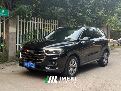 2022 Haval H6 2023 National Trend Edition 1.5T Automatic Champion Version - ავტომობილი ჩინეთიდან